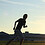 Andrew_Bradley