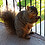 Jeff_Ledahl